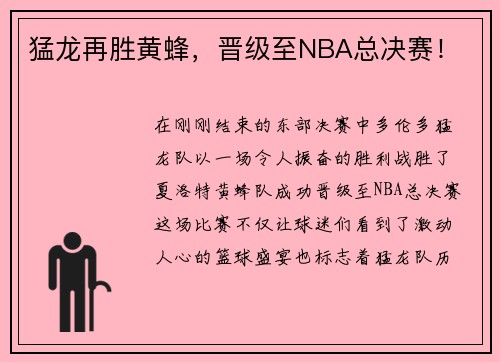 猛龙再胜黄蜂，晋级至NBA总决赛！