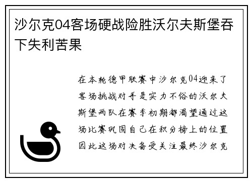沙尔克04客场硬战险胜沃尔夫斯堡吞下失利苦果